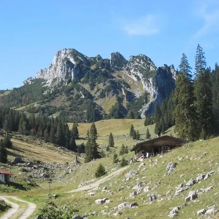 Gentian In The Wendelstein * Fischbachau